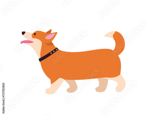 vector illustration on a white background of a dog running