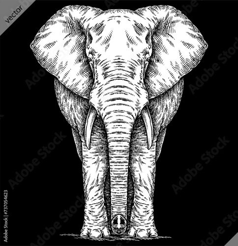 Vintage engraving isolated elephant set illustration ink sketch. African bishop background animal silhouette art. Black and white hand drawn vector image