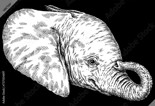 Vintage engraving isolated elephant set illustration ink sketch. African bishop background animal silhouette art. Black and white hand drawn vector image
