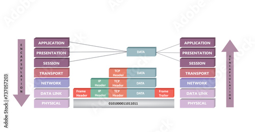 Encapsulation and deencapsulation proces in OSI reference model, vector
