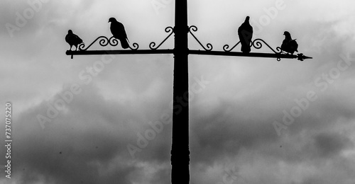 Pigeons resting on wrought iron streetlight in Sanlucar de Barrameda, Cadiz photo