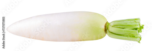 Daikon radishes isolated on alpha background