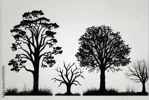 A black and white silhouette of a large tree. Tree element to create a group of plants somewhere isolated on white backgrounds vector. photo