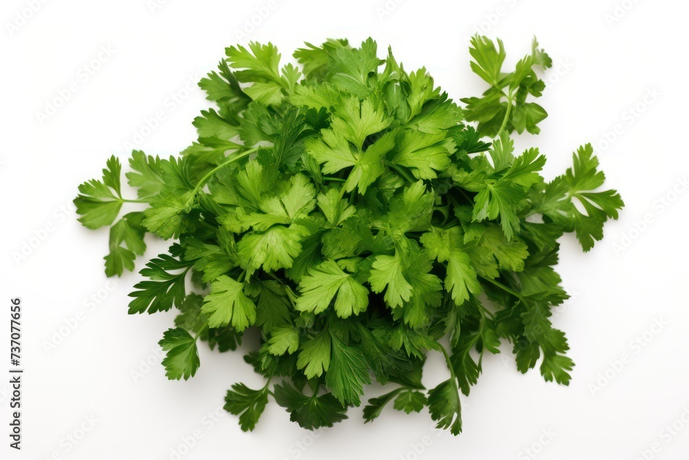 Fototapeta premium Fresh parsley on a white background. Top view