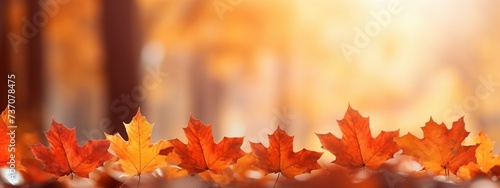 To be used as a banner depicting red maple leaves falling in fall.