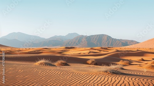 Vast Desert Landscape  Arid Beauty Captured