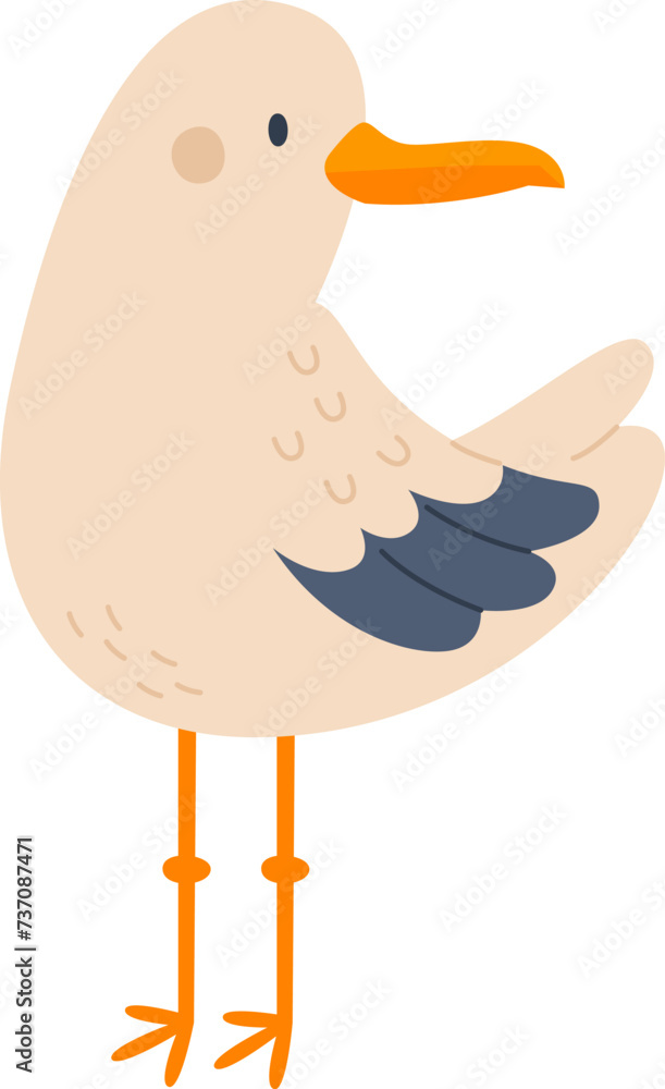 Seagull Bird Animal Seagull Bird Animal