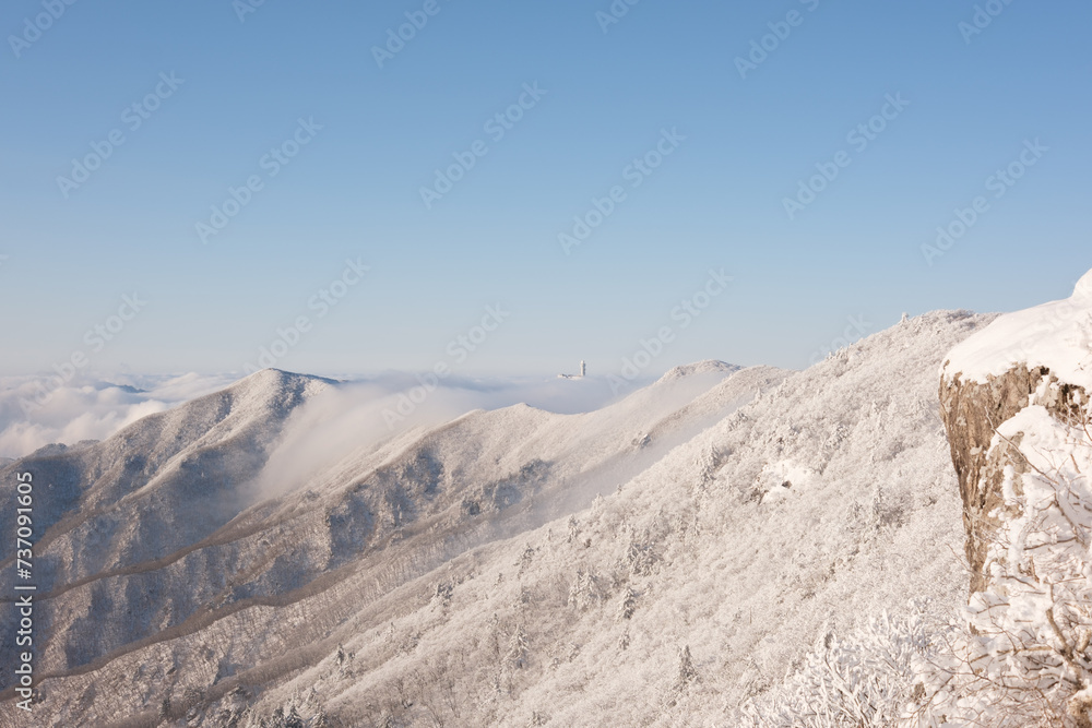 대한민국 한국의 눈덮인 나무가 가득한 숲의 상고대와 눈꽃이 만연한 겨울 설산의 풍경