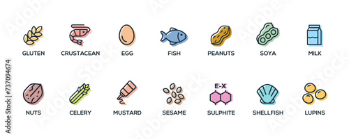 Simple Isolated Vector Logo Set Badge Ingredient Warning Label. Colorful Allergens icons. Food Intolerance. The 14 allergens required to declare written in English