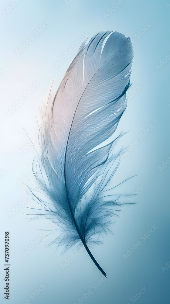 Elegant Single Feather on Blue Background Elegant Single Feather on Blue Background
