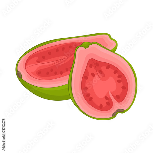 Illustration of half guava 