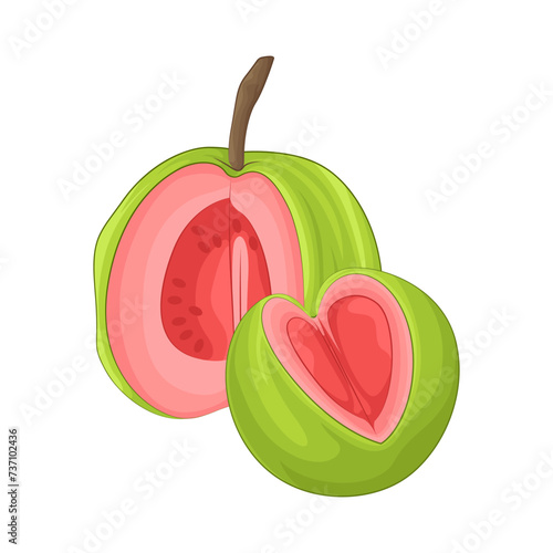 Illustration of guava 