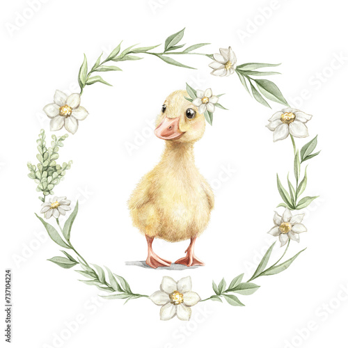 Billede på lærred Cute vintage yellow gosling bird with floral wreath and Easter floral round wreath composition isolated on white background