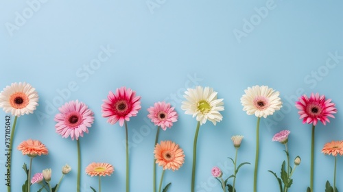 Flowers on Pastel Blue Background with Copyspace in the Center