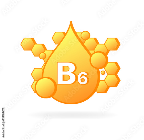 B6 vitamin drop icon. Flat style. Vector icon