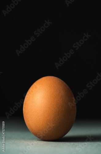Brown chicken egg on black background