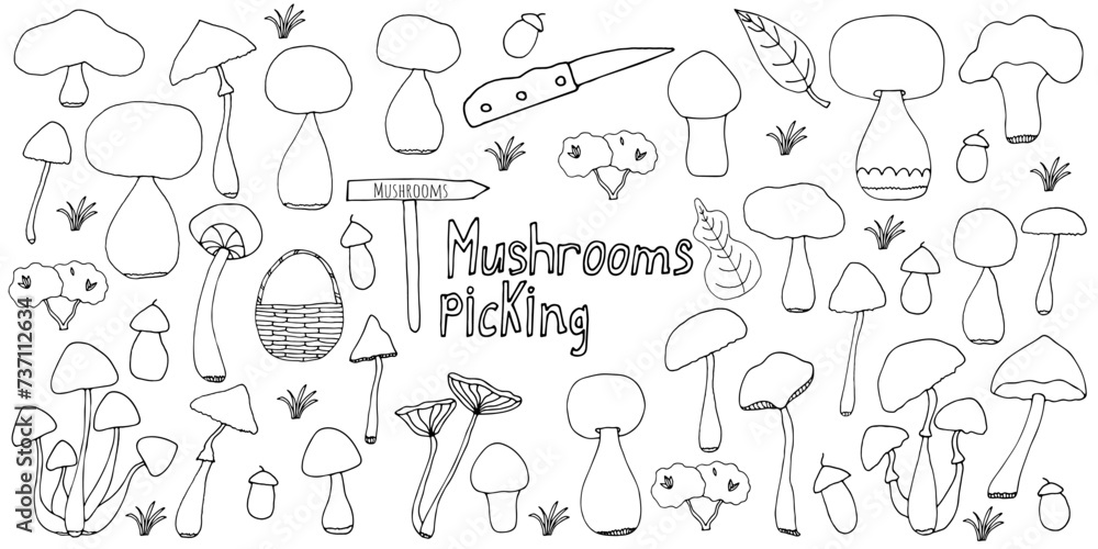 Big doodle set with decorative hand drawn mushrooms. Outdoor recreation, trip to the forest, hiking, mushroom picking. Simple illustration isolated on white background. Black linear elements.