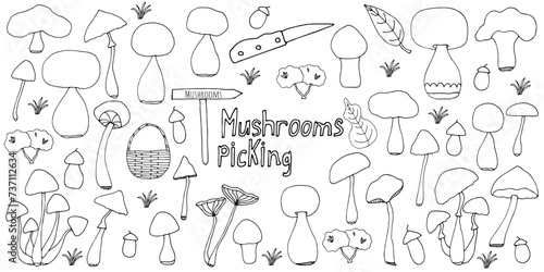 Big doodle set with decorative hand drawn mushrooms. Outdoor recreation, trip to the forest, hiking, mushroom picking. Simple illustration isolated on white background. Black linear elements.
