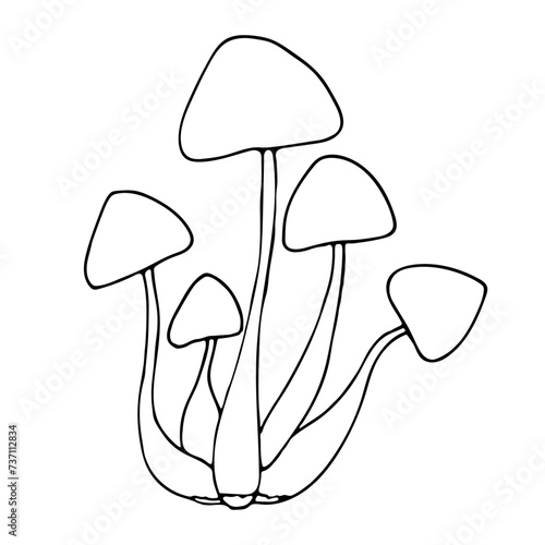Doodle hand drawn illustration with decorative mushrooms. Mushroom for cooking. Outdoor recreation, hiking, mushroom picking. Simple illustration isolated on white background. Black linear element.
