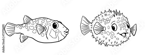 Funny puffer fish to color in. Template for a coloring book with funny animals. Coloring template for kids. 