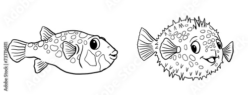 Photography Funny puffer fish to color in