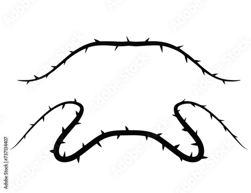 Thorn branch or vine. Natural intertwined pattern. Element of tattoo with spike.