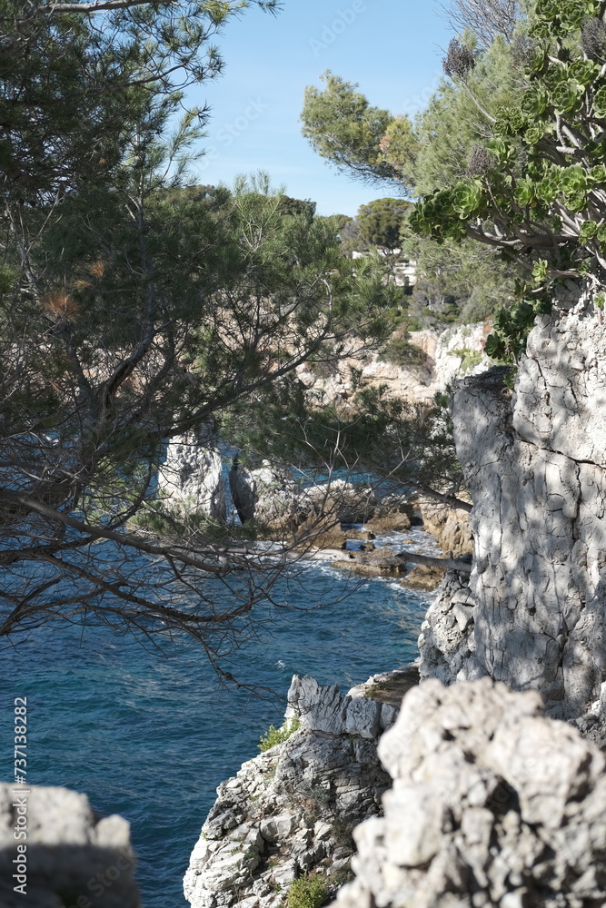 Cap d'antibes sentier du littoral mer rochers nature