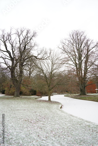Photography Vibrant nature in Denmark