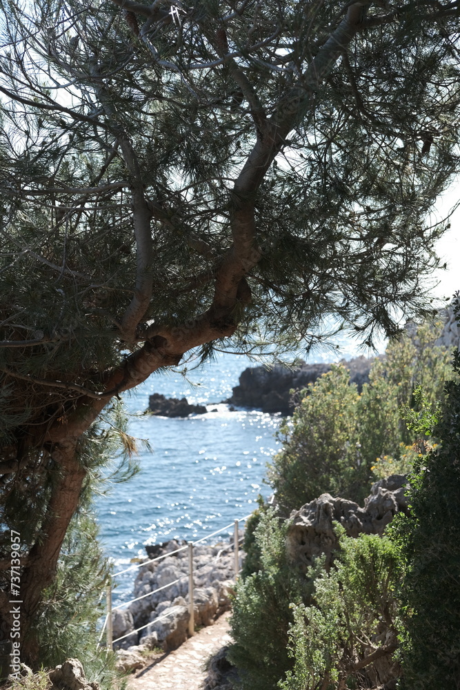 Cap d'antibes sentier du littoral mer rochers nature