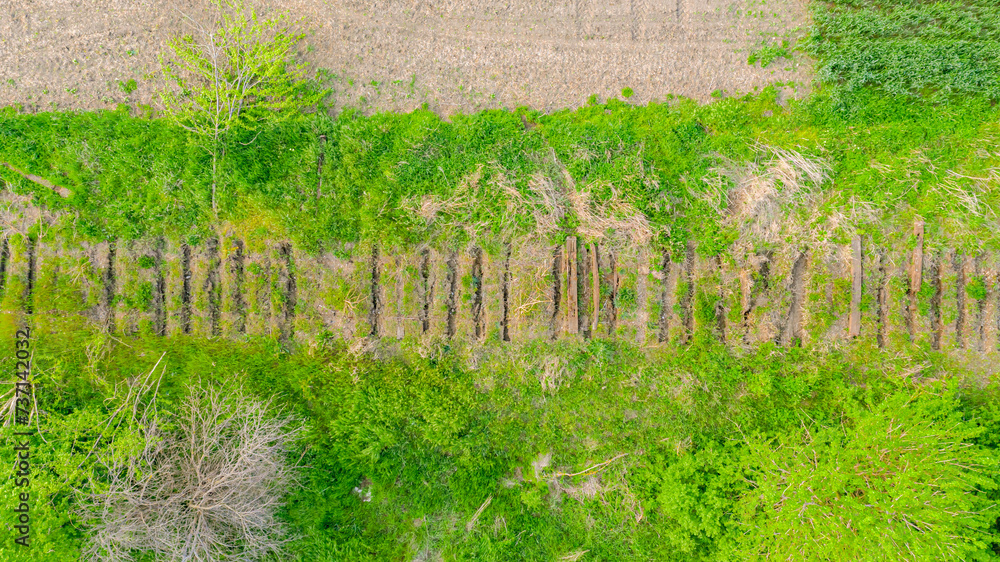 Overhead view on trace in overgrown ground of dismantled old railway wooden sleepers Overhead view on trace in overgrown ground of dismantled old railway wooden sleepers