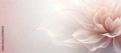 Dahlia bud in sheer organza in powder pink with space for text.