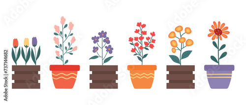 A set of beautiful cartoon different flowers in pots and flower beds of various shapes and colors. Hand drawn vector illustration