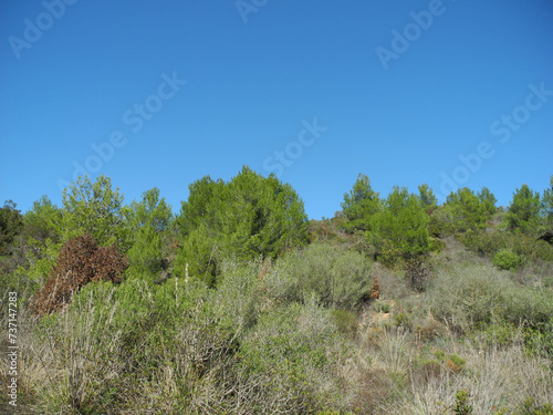 Immagini della natura in Sardegna