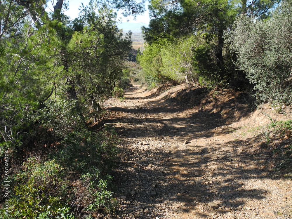 Immagini della natura in Sardegna