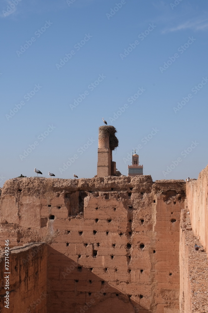 Palais el badii Marrakech cigogne