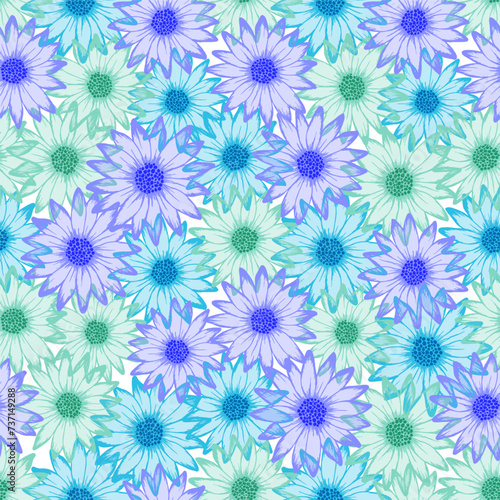 Dimorphotheca cute vector repeat rapport. Camomile daisy bloom with