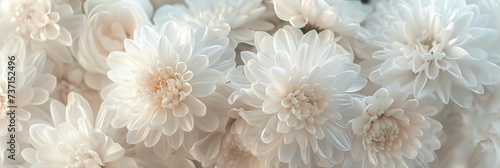 White Monochromatic Compositions Chrysantha Flowers in Organic Bouquet Texture - Irridescent Soft Tonal Art Close Up Vintage Inspired Background created with Generative AI Technology