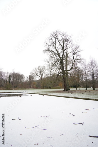 Photography Vibrant nature in Denmark