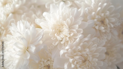 White Monochromatic Compositions Chrysantha Flowers in Organic Bouquet Texture - Irridescent Soft Tonal Art Close Up Vintage Inspired Background created with Generative AI Technology © Generative Plants
