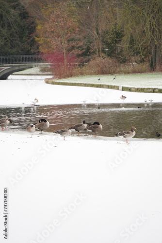 Photography Vibrant nature in Denmark
