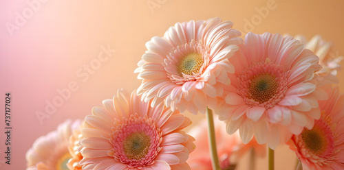 Blooming Elegance  A Symphony of Colorful Flowers on a Warm Pastel Background