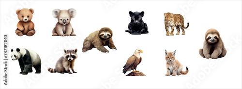Collection of Adorable and Realistic Animal Illustrations Featuring Various Species: Vector
