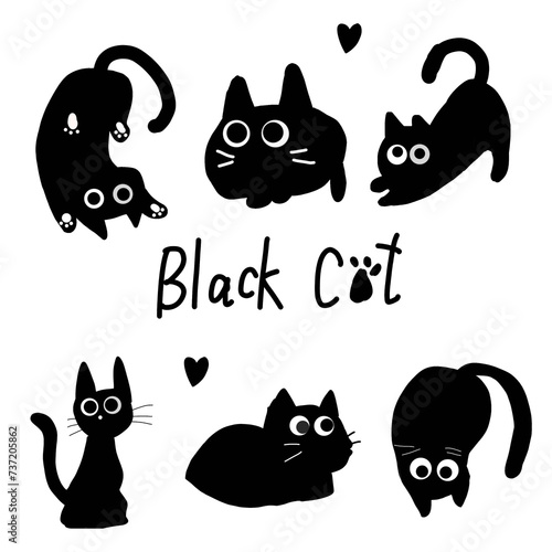 set of funny cats