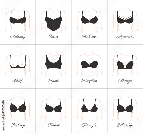 Vector Woman decollete with set all type black bra. Female girl tits closeup. Isolated on white background