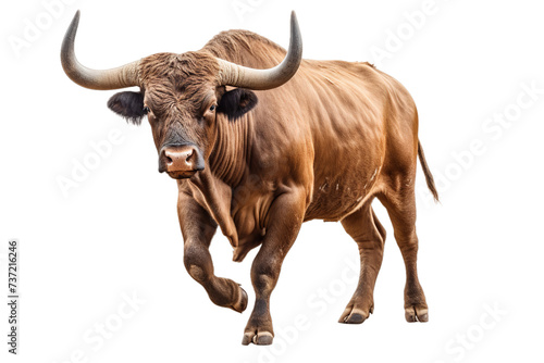 a bull facing forward, Isolated on transparent PNG background, Generative ai