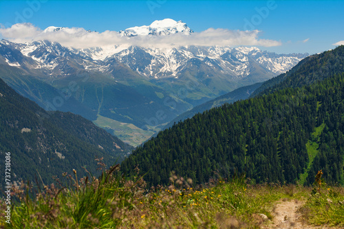 Picturesque view of mountains, forests and an alpine meadow while hiking Tour du Mont Blanc. Alps, Switzerland, Europe.