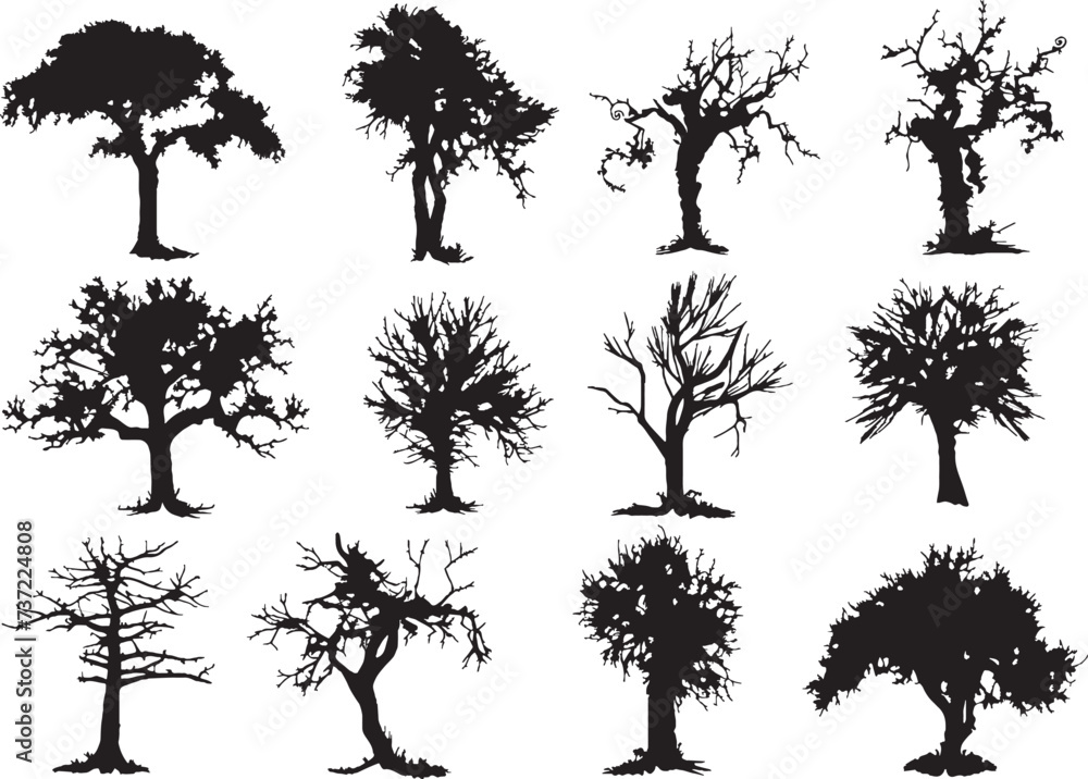 Fototapeta premium tree, vector, flower, silhouette, tattoo, design, illustration, black, decoration, plant, nature, floral, halloween, set, element, leaf, art, pattern, branch, tribal, bird, ornament, summer, symbol, f