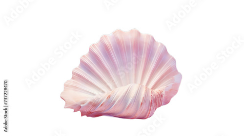 Shell of an ark isolated pastel, Isolated on transparent PNG background, Generative ai