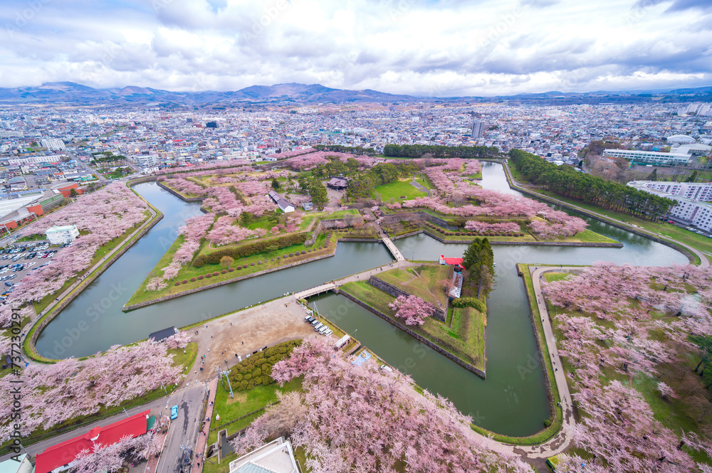 full bloom Japanes Cherry blossoms in Goryokaku Castle or Hakodate Castle as star shaped fort, Hokkaido, Japan - View from the observatory of Goryokaku Tower.