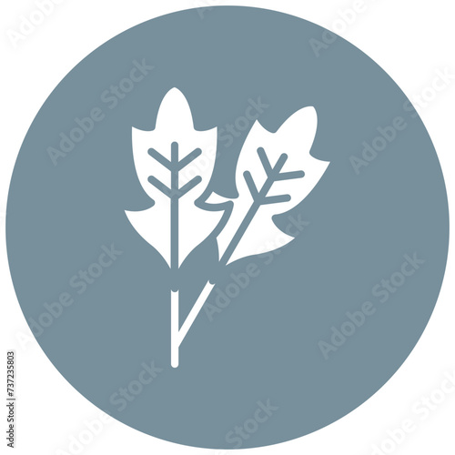 Arugula Icon